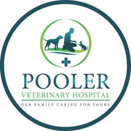 Pooler Veterinary Hospital