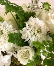 Guyard Benoît image 5