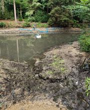 TE-Teichservice Bild 4