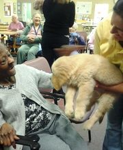 Active Day of Bristol image 11