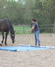 Ponte F SARL image 14