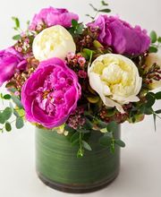 In Bloom Florist - Lake Mary image 13