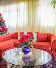 Gallery Professionale