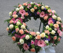 Blumen Steinhilber Weiden Bild 13
