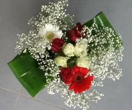 Audrey Fleurs image 18