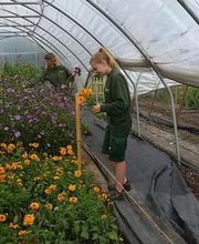 Gärtnerei B. Ryffel