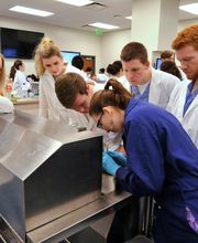 Wood College of Osteopathic Medicine image 5