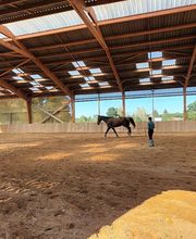 Haras De l'Epine Noire image 2