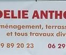 Delie Anthony image 5