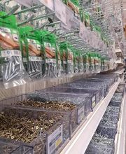 Weldom Saint Nicolas De Redon image 15