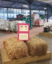 Animalia Seudre Nutrition image 2