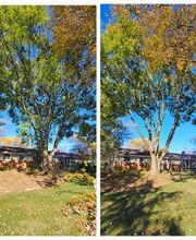 L&L Property Service image 3