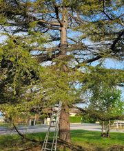 Bouche Nicolas image 9