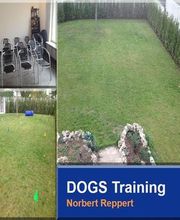 DOGS Training Bild 11