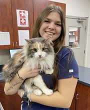 Bridgeview Pet Wellness Clinic image 1