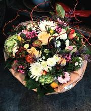 Blumen Dahlmann Bild 5