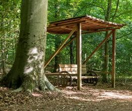 FriedWald Ostheide Bild 8