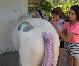 Centre Equestre De La Guérinière image 5