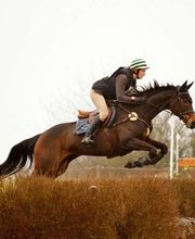 Ecuries De La Millassole image 3