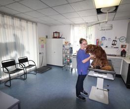 Kleintierpraxis Eckhard Bürgener Tierarzt Bild 4