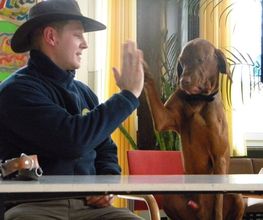 Hundeschule HundZunft Bild 2