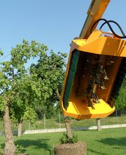 Nyons Location image 4