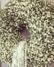 Gärtnerei und Blumengeschäft Sommer Bild 6