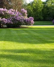 Mahrer Gartenbau GmbH Bild 4