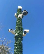 Ets Miollan Romain image 2