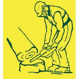 Baumpflege - S. Kaufhold