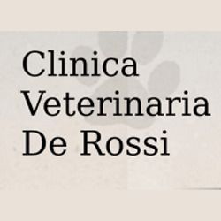 Clinica Veterinaria De Rossi logo