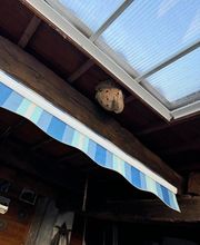 Gandolfi Frédéric image 3