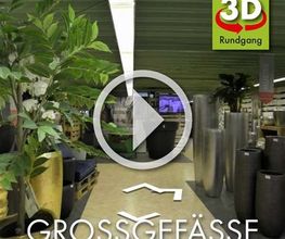 Große Pflanzgefäße und dekorative Gefäße für Innen- und Außenbereiche im Dekorist Showroom entdecken.