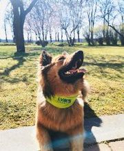 LVM Versicherung Ina Wachsmuth - Versicherungsagentur Bild 4