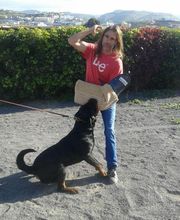 Residencia canina Tarazona imagen 7