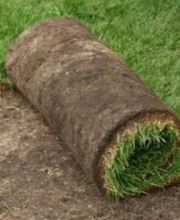 Trois-Chêne Jardins Sàrl Bild 3