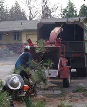 Arbor Tree Care LLC image 2