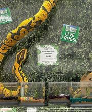 Fullerton Ace Hardware image 14