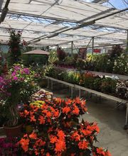 DELBARD TONNERRE image 5