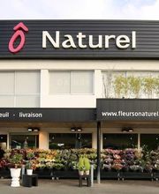 Fleurs Ô Naturel image 5