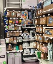 Orchestra AGNEAUX image 10