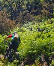ELECTRIC BIKES TARIFA imagen 6