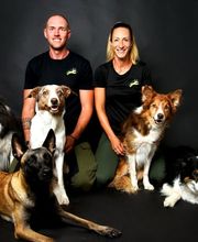 Dogs Adventure GmbH Bild 1