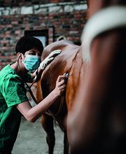 GAN ASSURANCES ANCENIS DU BELLAY image 4