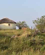 Trusted Craft Design Bild 11