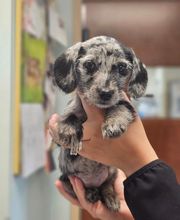 Parrett Veterinary Clinic image 11