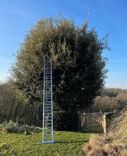 Green and Co Paysages Sàrl Bild 5