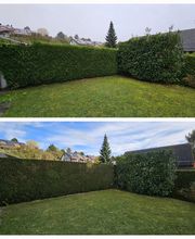 A'rborescence & Paysage Sàrl Bild 7