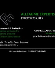 Alleaume Expertises image 4
