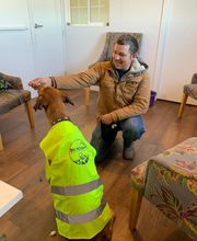 McPartlon Roofing image 2